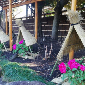 鶴岡八幡宮ぼたん庭園の新年