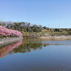 不要不急な会合は控える