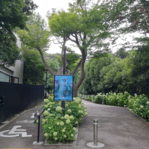 梅雨空の鎌倉