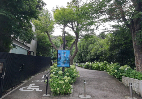 梅雨空の鎌倉