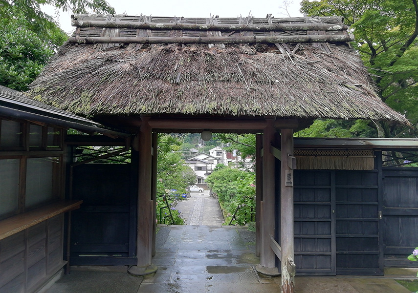 続く雨模様